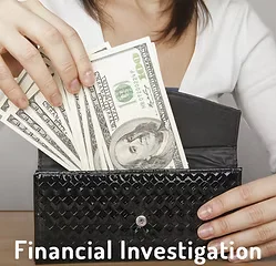 Financial private investigators