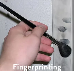 Fingerprinting and private investigators