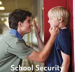 School private investigators